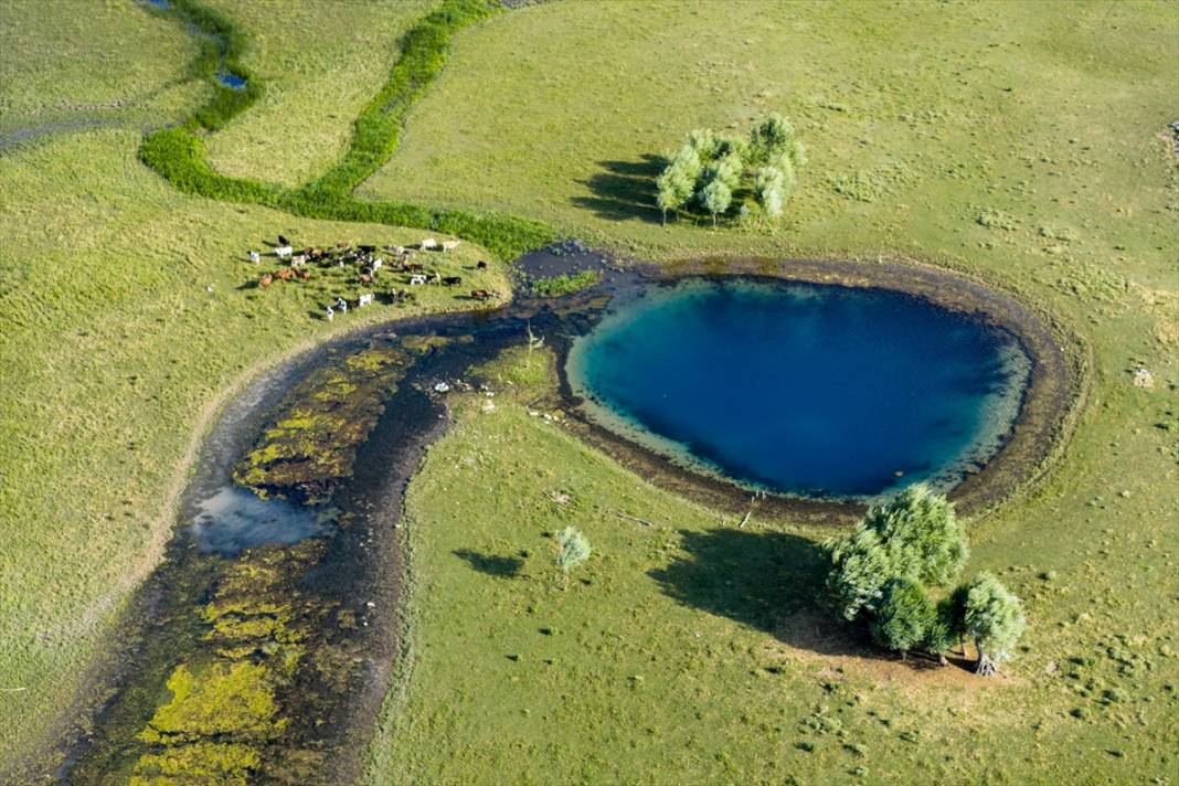 Konya’nın en büyük gölündeki büyüleyici kareler, felaketin işareti 6